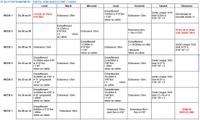 plan entrainement semi marathon
