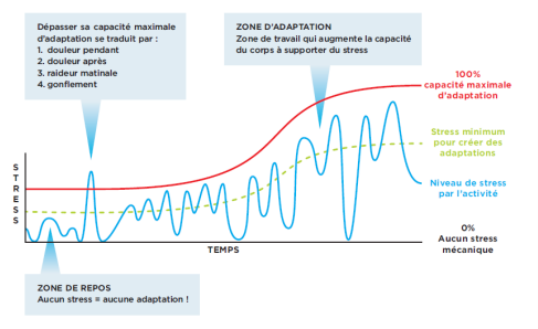 plan entrainement ultra trail